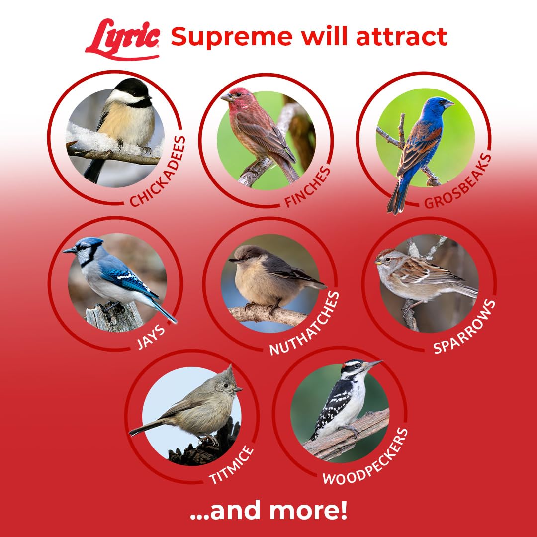 Lyric seed in a tube feeder demonstrating compatibility and tidy dispensing