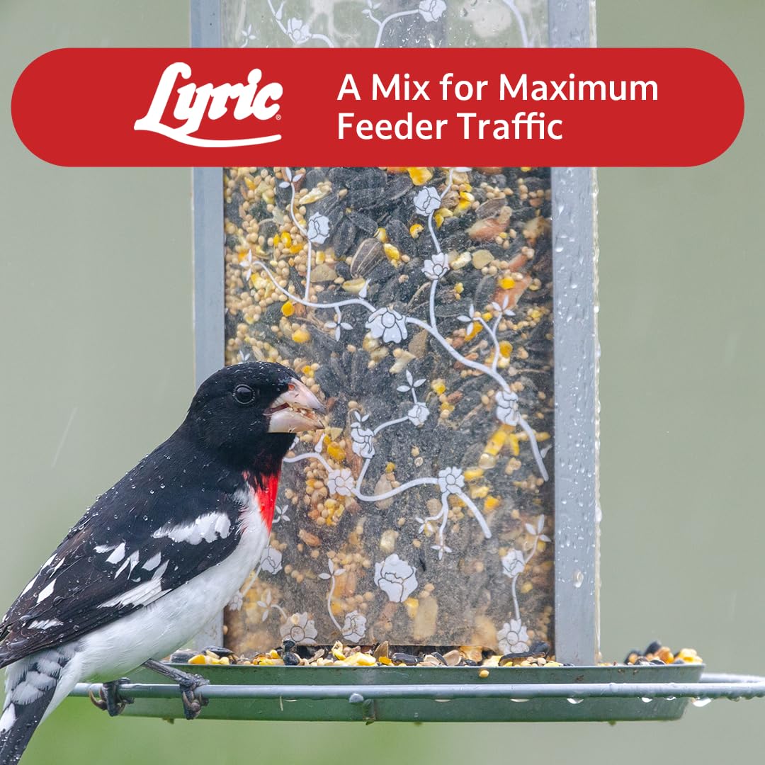 Lyric bag in a backyard setting with birds for natural wildlife enjoyment