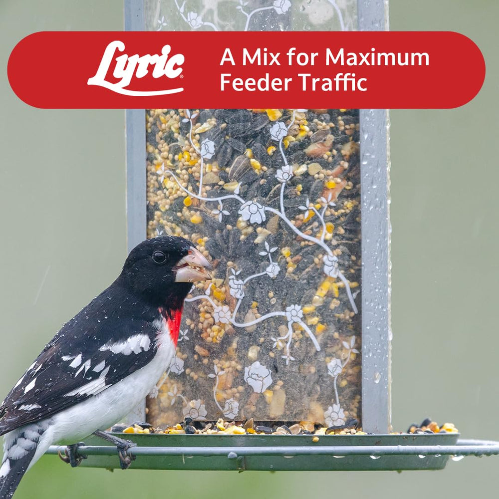 Lyric bag in a backyard setting with birds for natural wildlife enjoyment