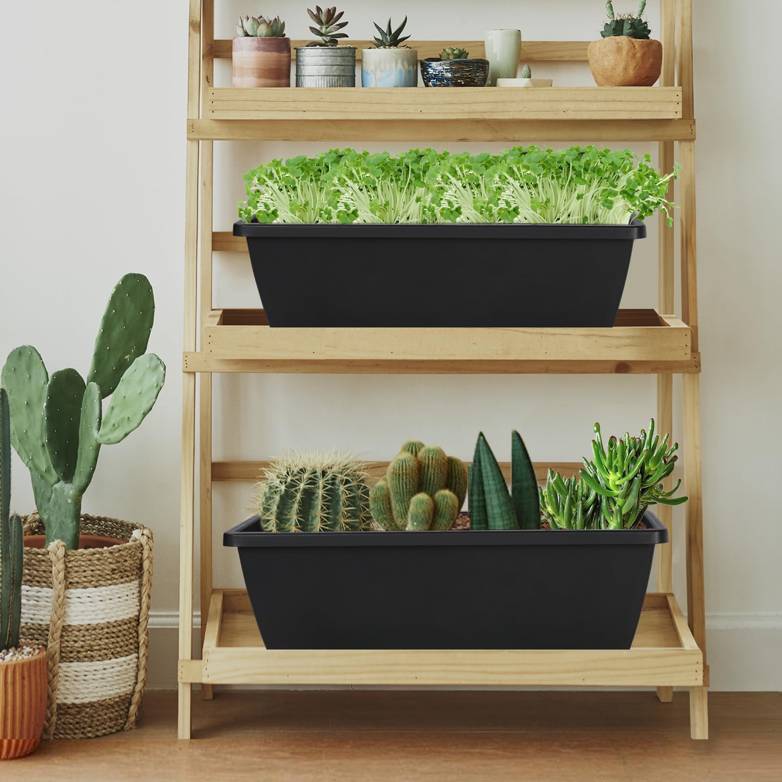 Lysjtsr boxed 12-piece set showing value pack for multi-window or multi-plant setups