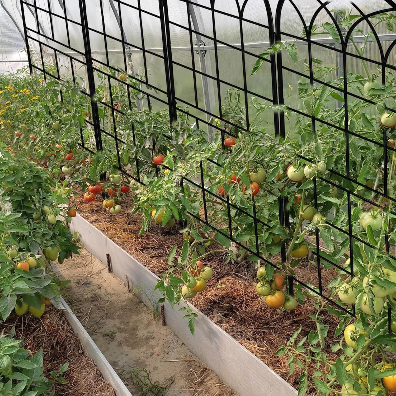LZRS arch anchored in a large planter illustrating container gardening compatibility