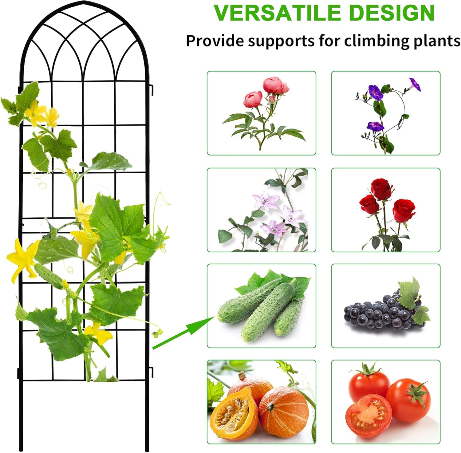 LZRS garden arch supporting blooming roses for improved plant display and health