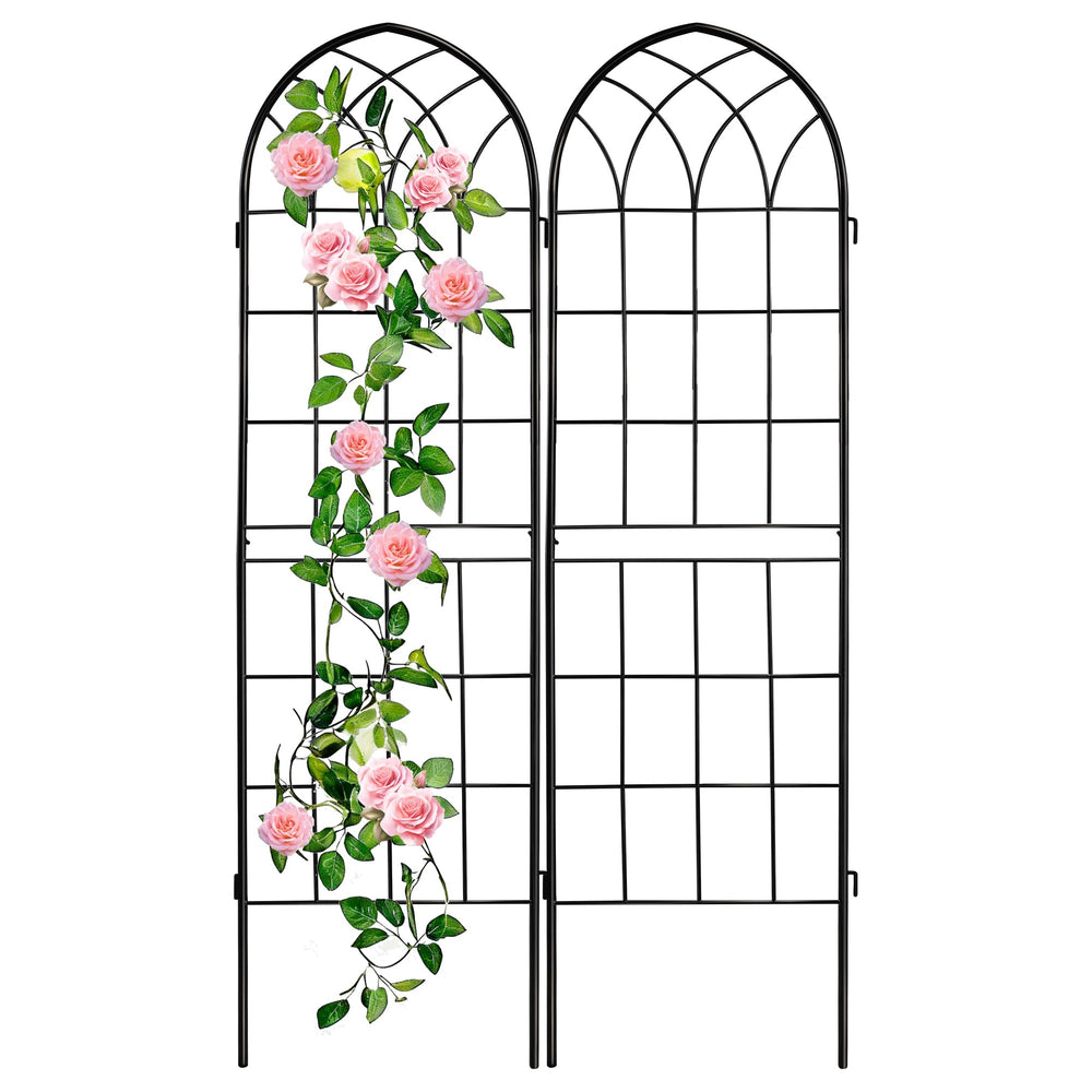 LZRS front view of two black iron arches showing durable support and garden styling