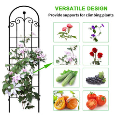 LZRS arch in garden with roses climbing to create a decorative support and bloom display
