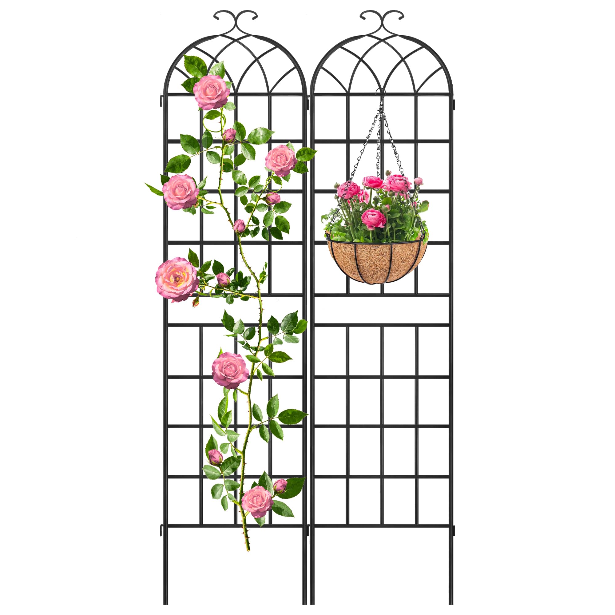 LZRS front view of iron arch showing elegant black frame and plant support