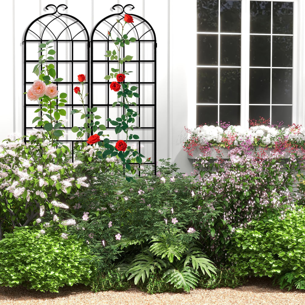 LZRS arch anchored in a container proving versatile use in pots