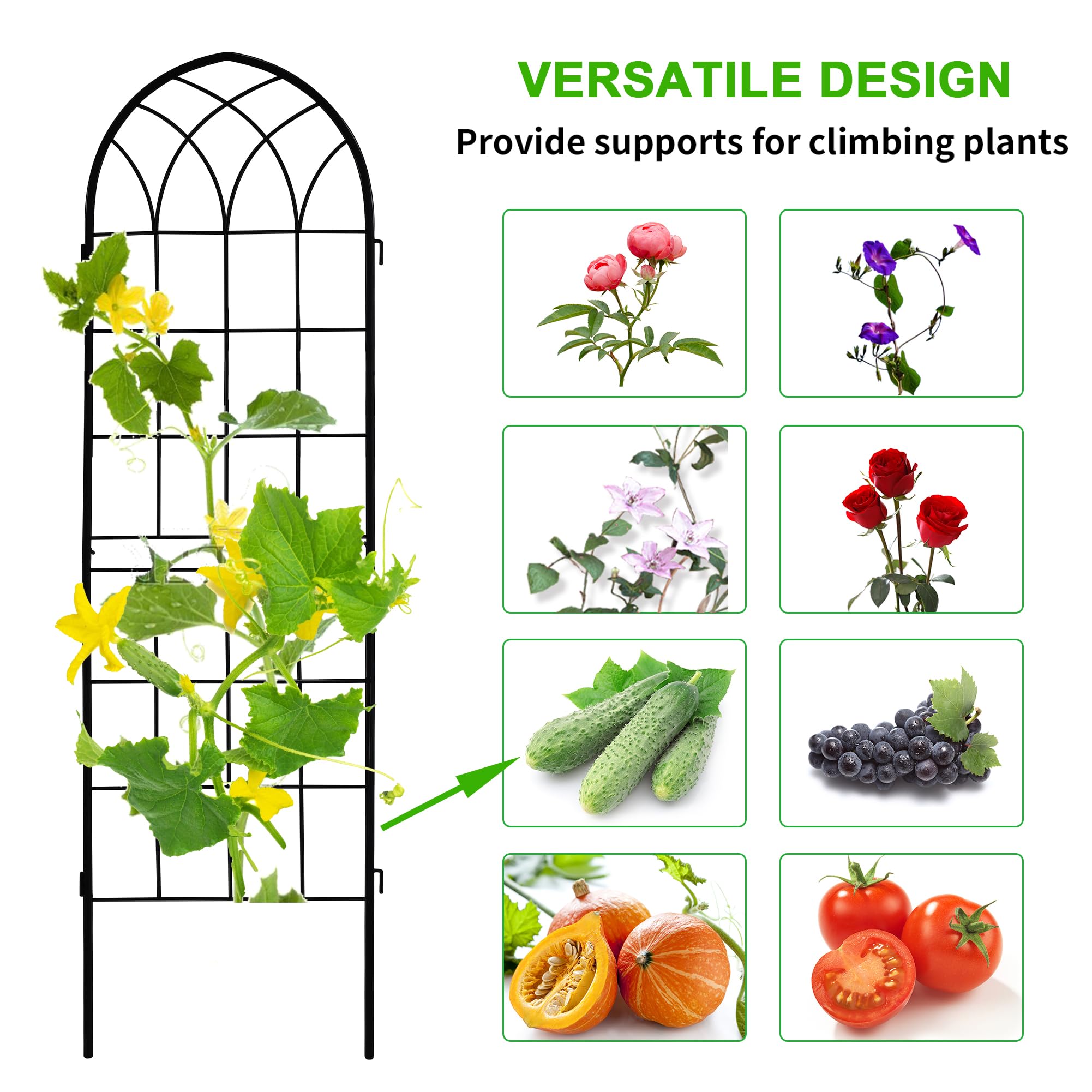 LZRS trellis beside ruler demonstrating 71x20 inch scale for planning