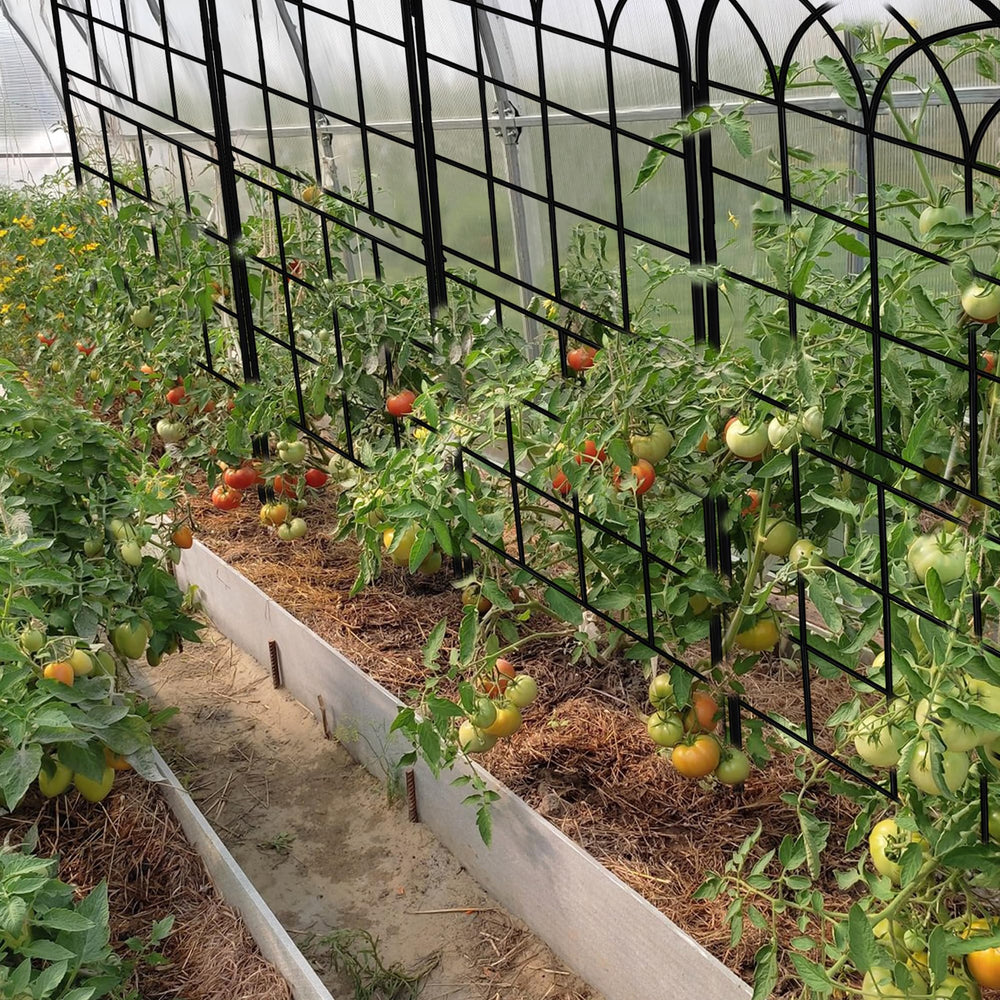 LZRS panels installed in planter showing space-saving vertical gardening benefit