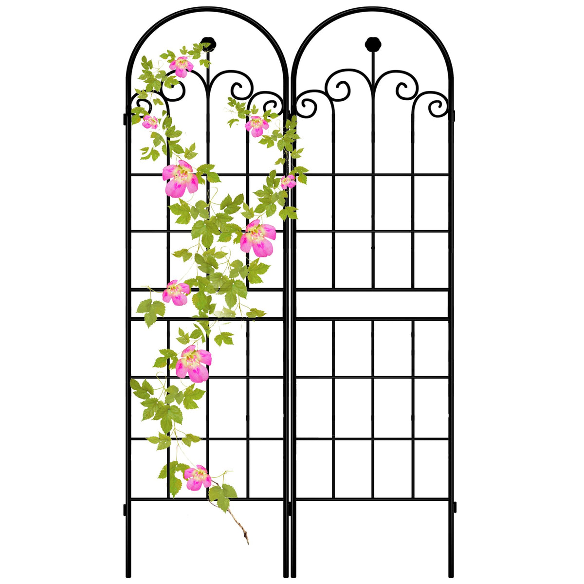 LZRS front view of black iron trellis showing decorative grid and arch support benefit