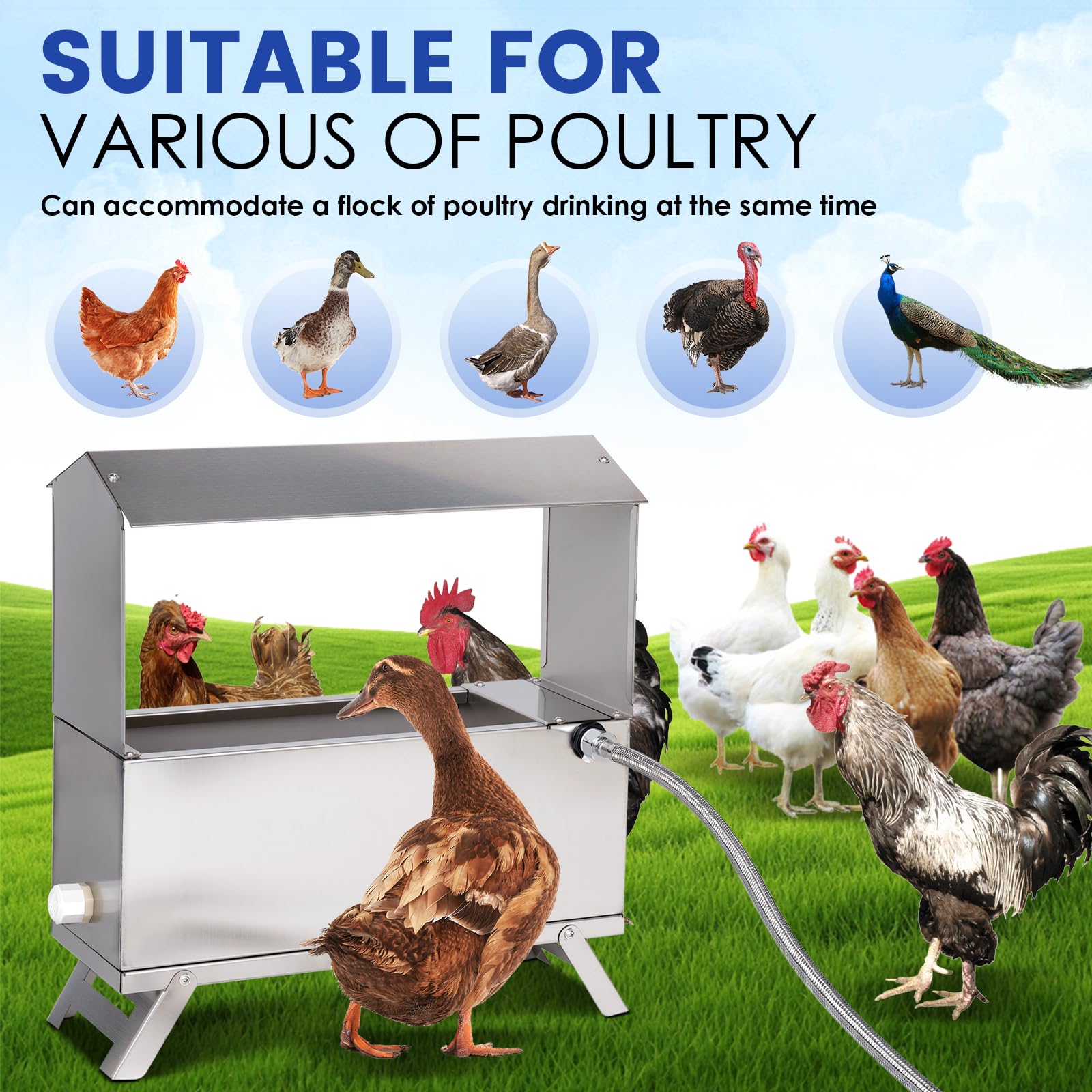 LZWUNYXE placed in backyard flock setting reducing chores and waste