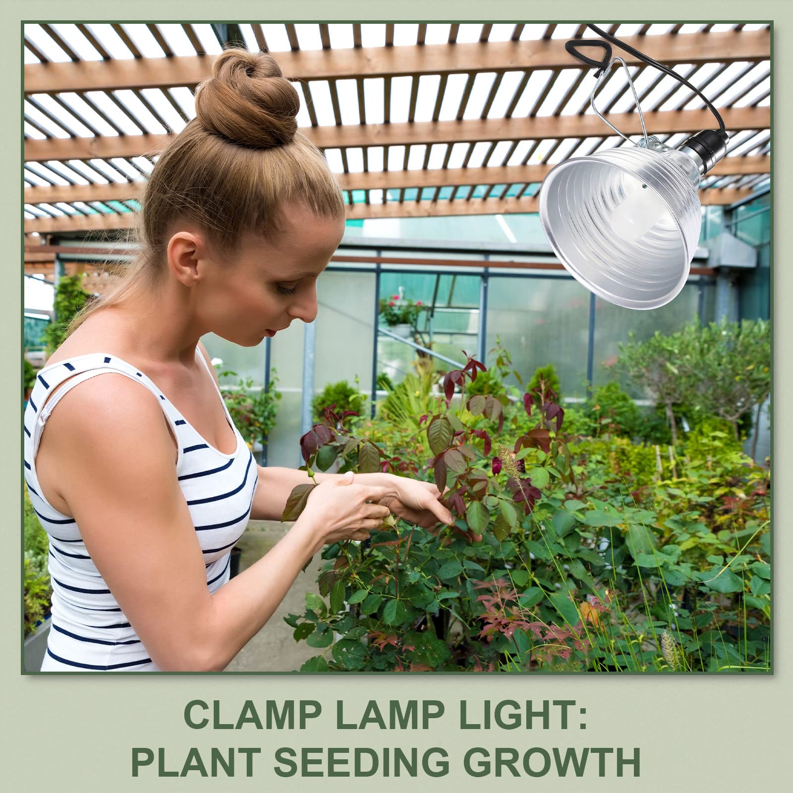 Macarrie lamp mounted on a terrarium creating a warm basking area for reptiles