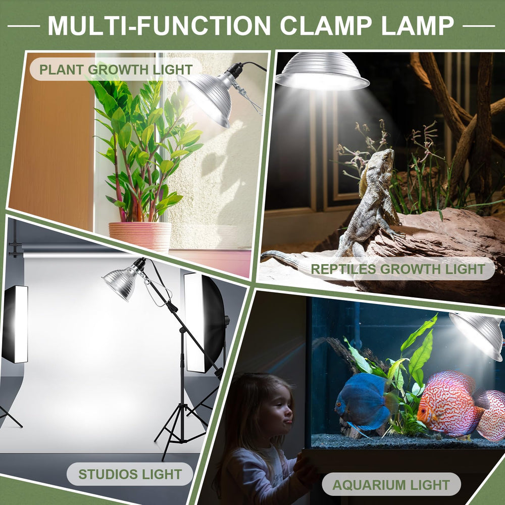 Macarrie six lamps laid out for scale comparison, multiple-zone lighting convenience benefit