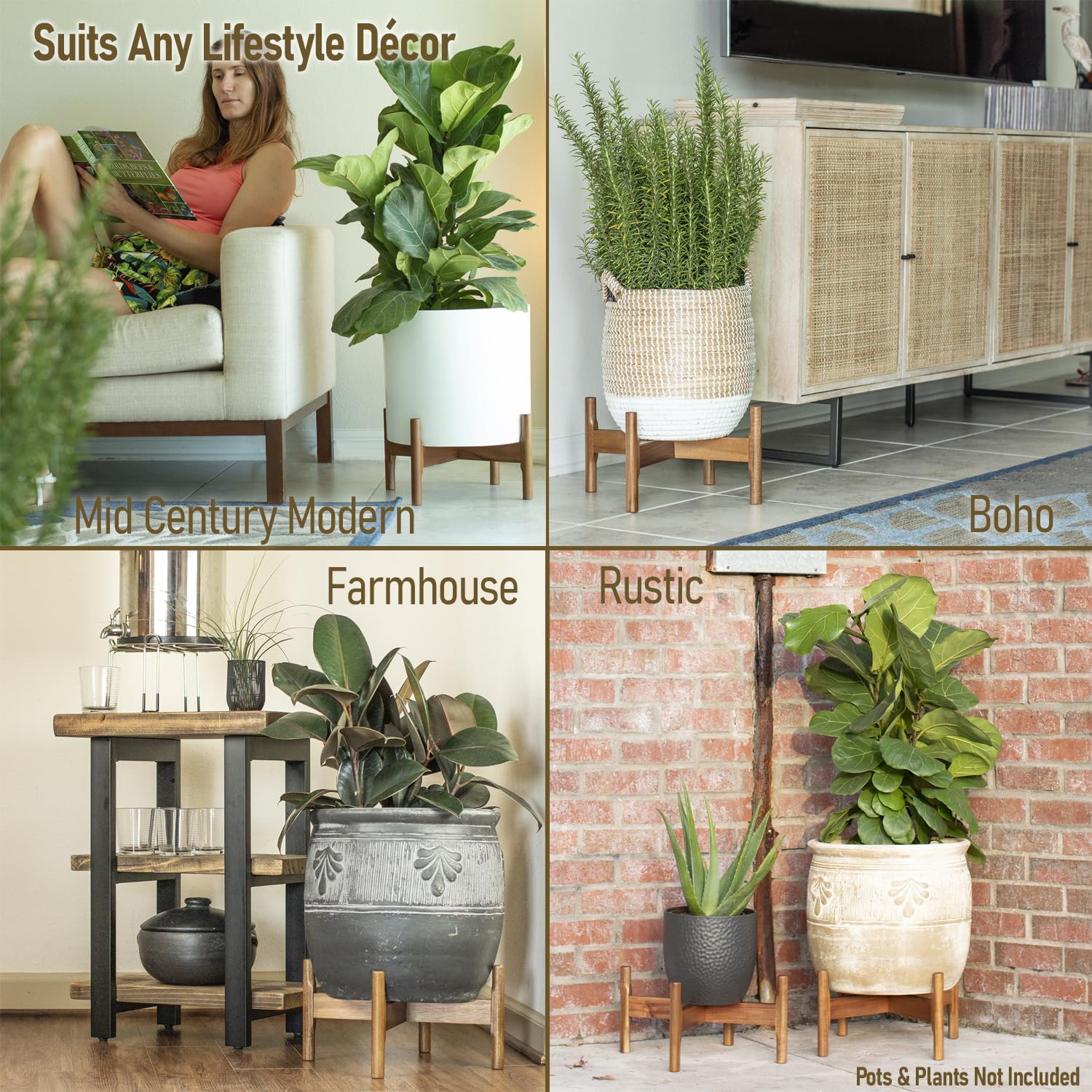 Macaw on Kapok plant stand supporting a 14-inch pot in living room for elevated decor benefit