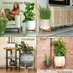 Macaw on Kapok plant stand supporting a 14-inch pot in living room for elevated decor benefit