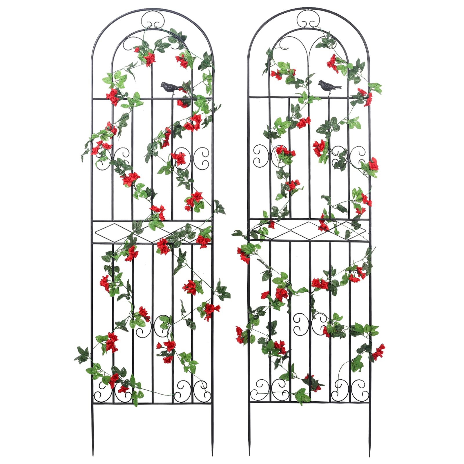 Macteyia front view of two black trellises showing full-height support