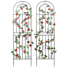 Macteyia front view of two black trellises showing full-height support