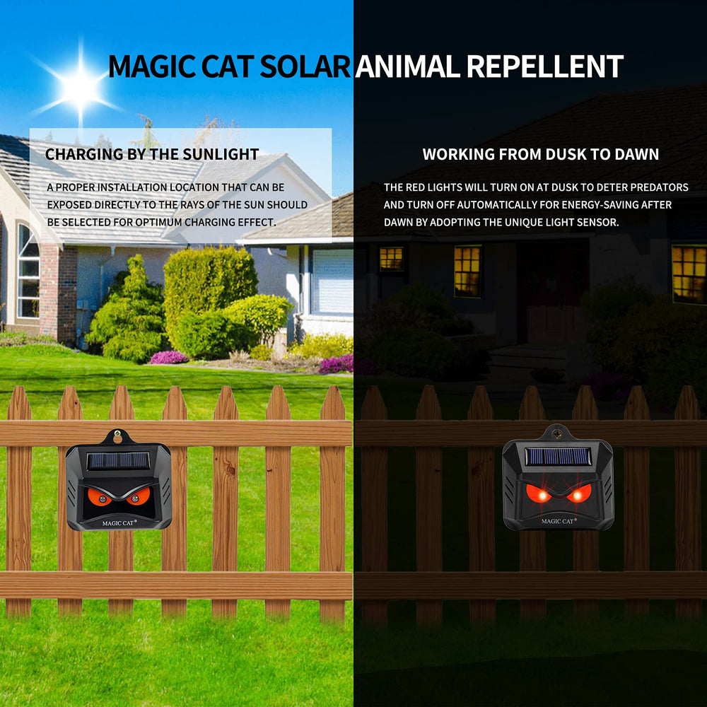 MAGIC CAT solar panel close-up capturing sunlight for reliable, low-cost charging