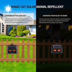 MAGIC CAT solar panel close-up capturing sunlight for reliable, low-cost charging