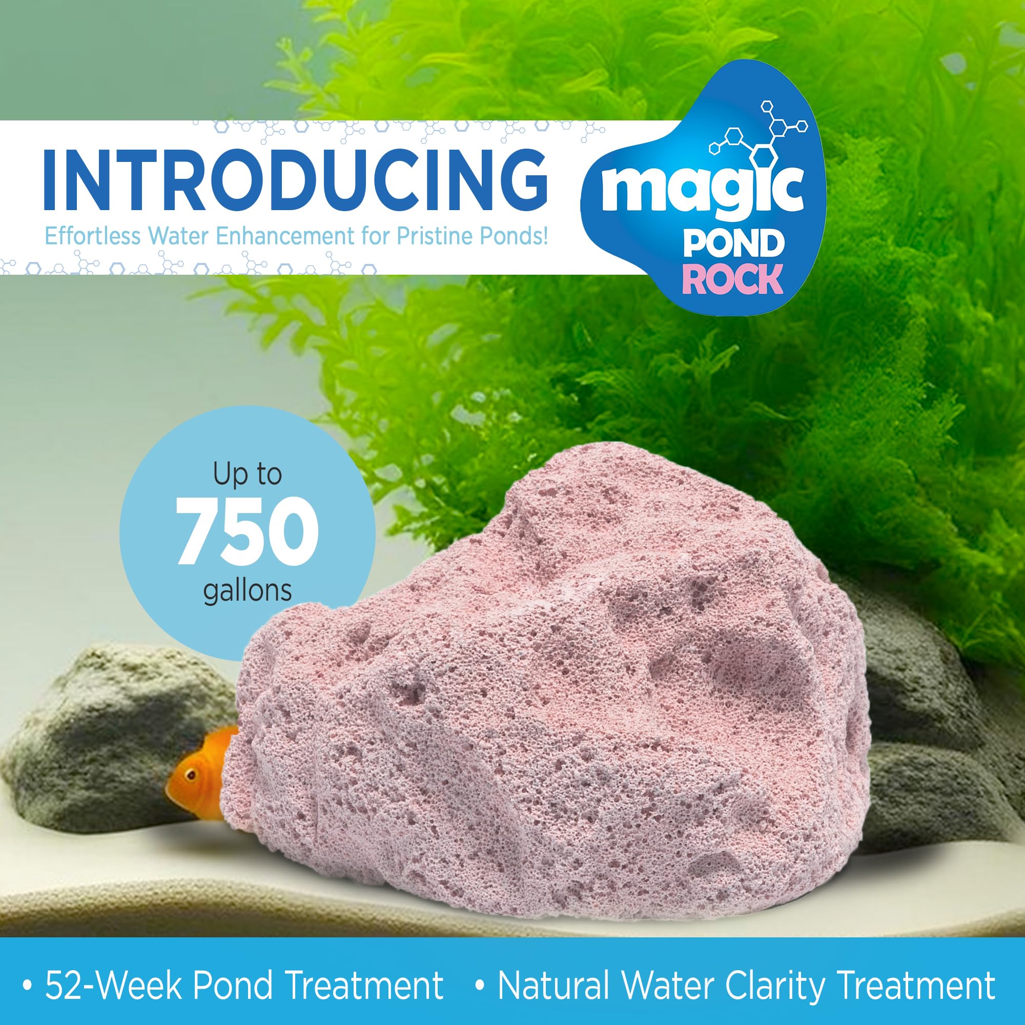 Magic Pond Rock close texture detail highlighting nanoporous surface benefits