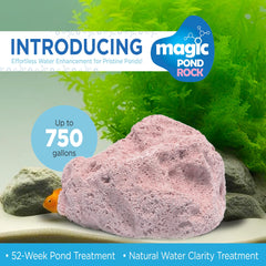 Magic Pond Rock close texture detail highlighting nanoporous surface benefits