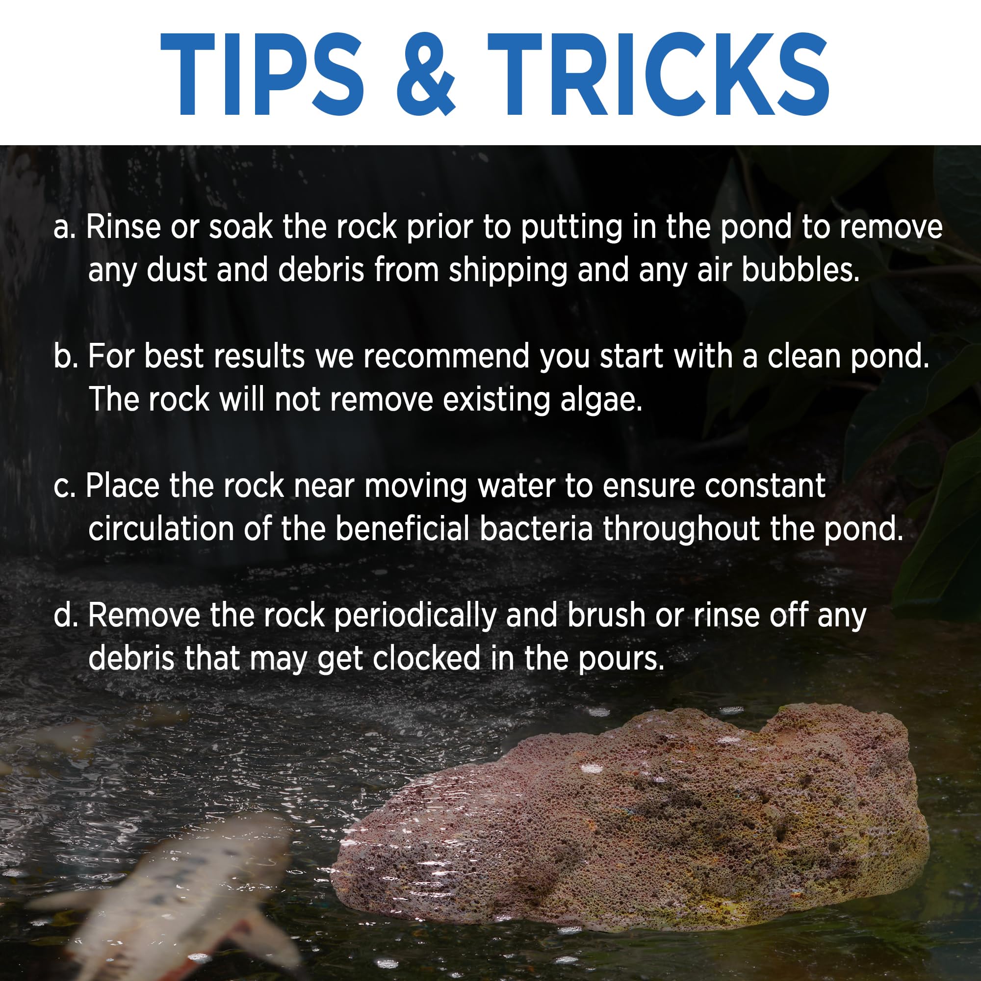 Magic Pond Rock in backyard pond lifestyle scene showing low-maintenance benefit