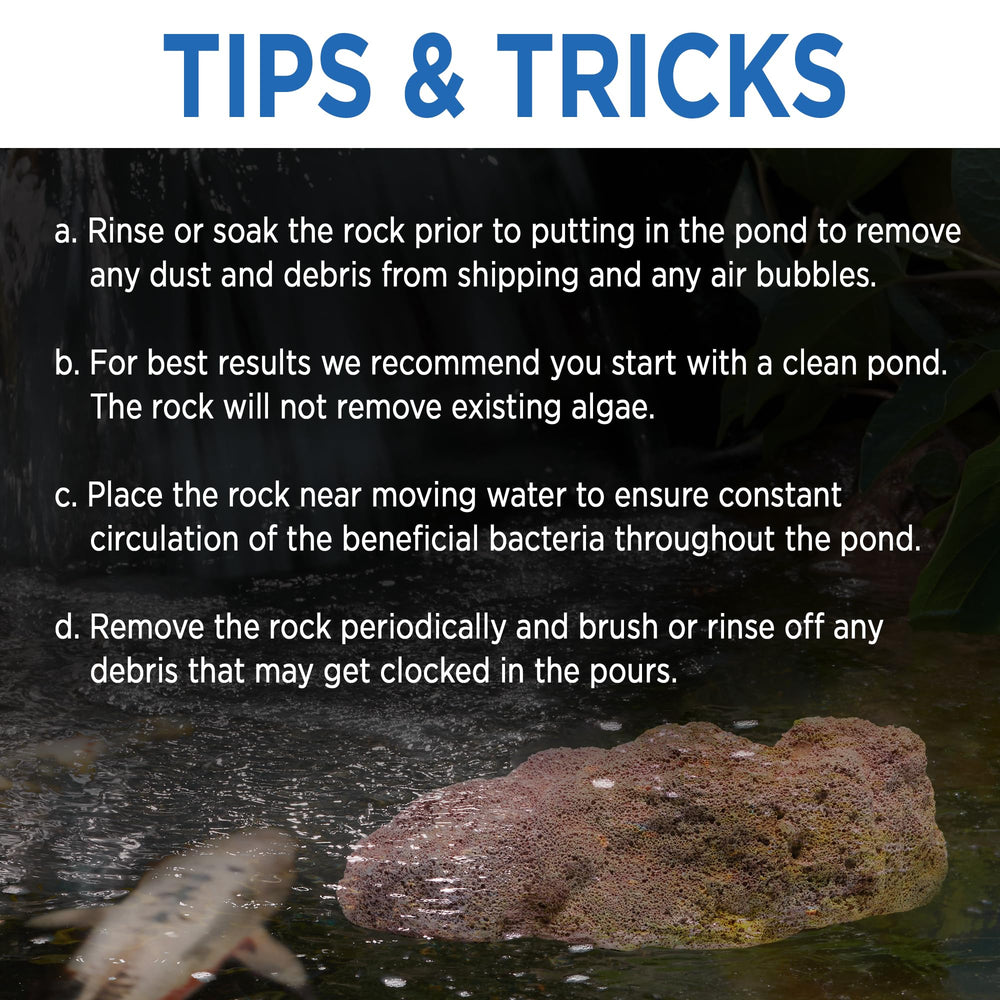Magic Pond Rock in backyard pond lifestyle scene showing low-maintenance benefit
