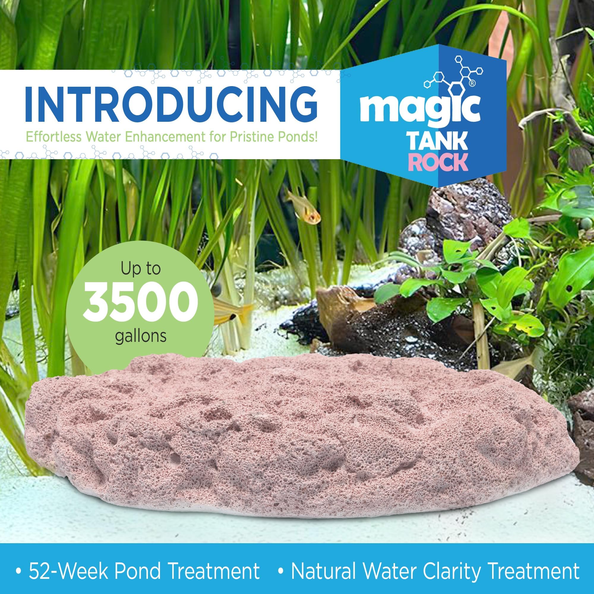 Magic Tank Rock texture closeup highlighting nano-porous surface for bacterial growth