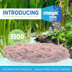 Magic Tank Rock texture closeup highlighting nano-porous surface for bacterial growth