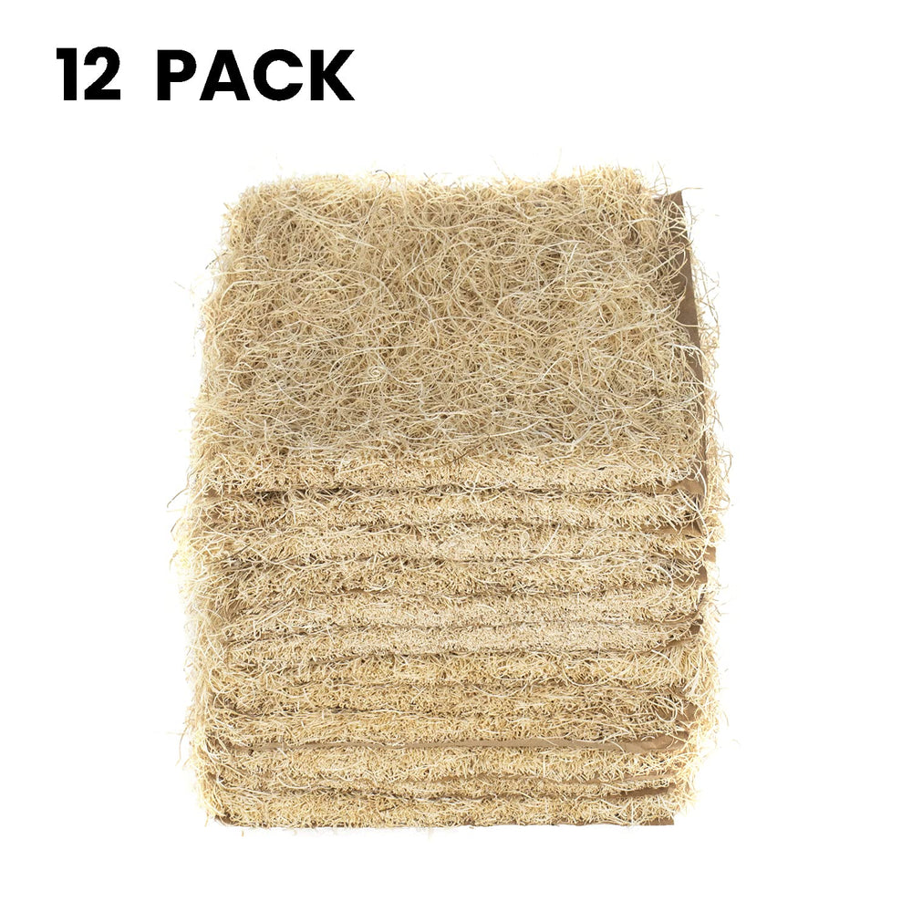 MagJo 12-pack box shot highlighting quantity and ready-to-use supply for multiple nests