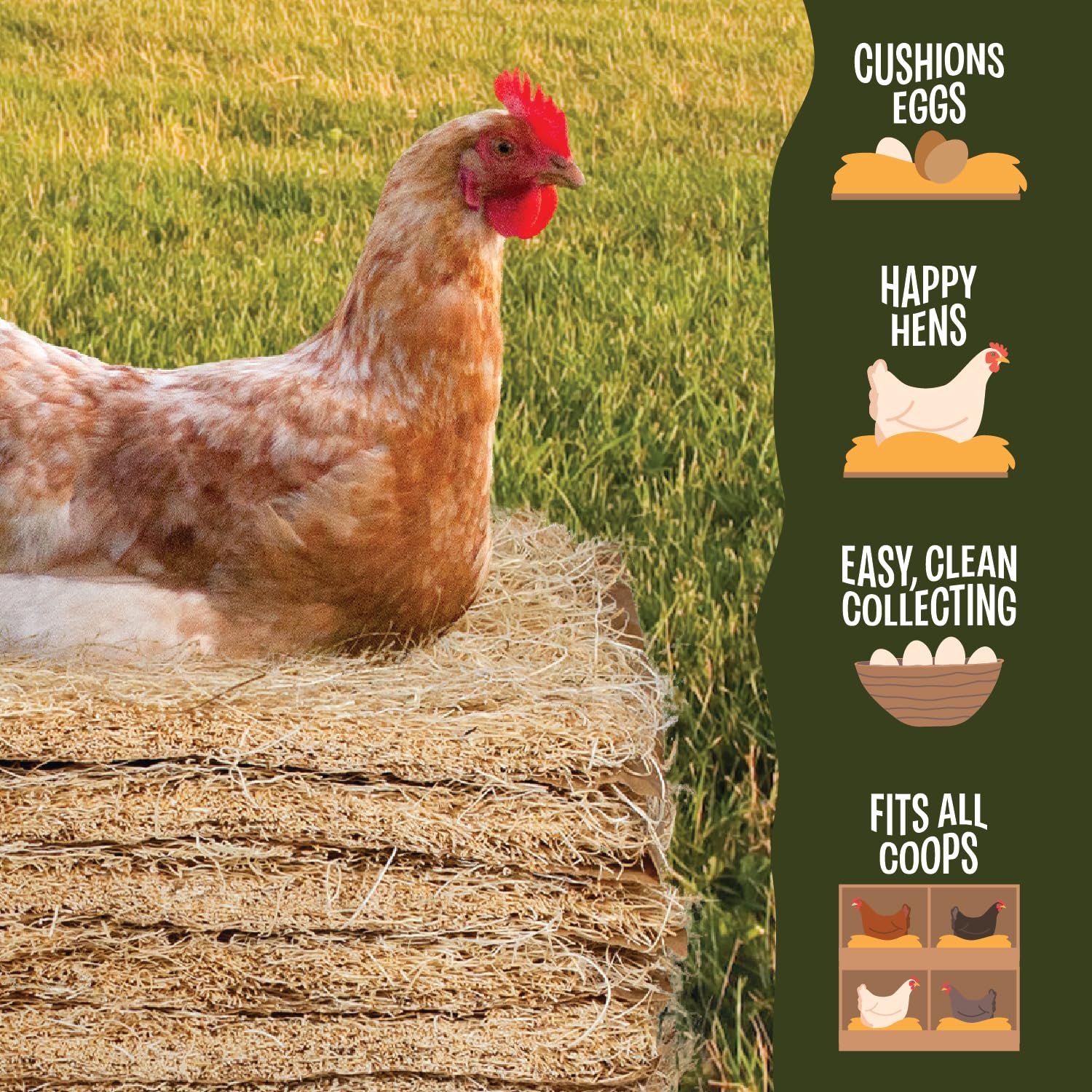 MagJo pads under eggs showing cushioned support to reduce breakage