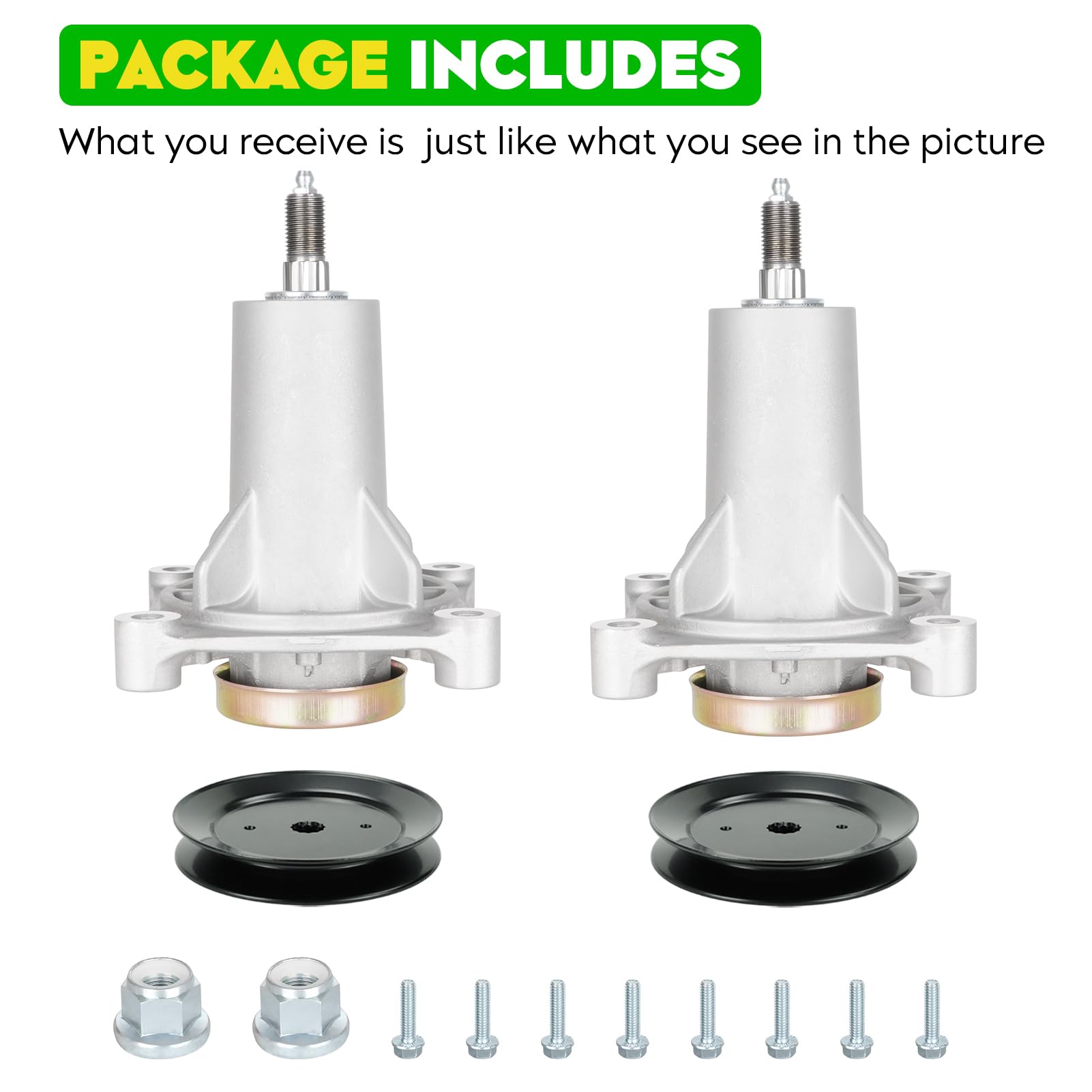 Magorfas scale size comparison demonstrating compact dimensions for compatibility