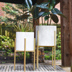 Main + Mesa planter with greenery in living room adding sculptural plant focal point