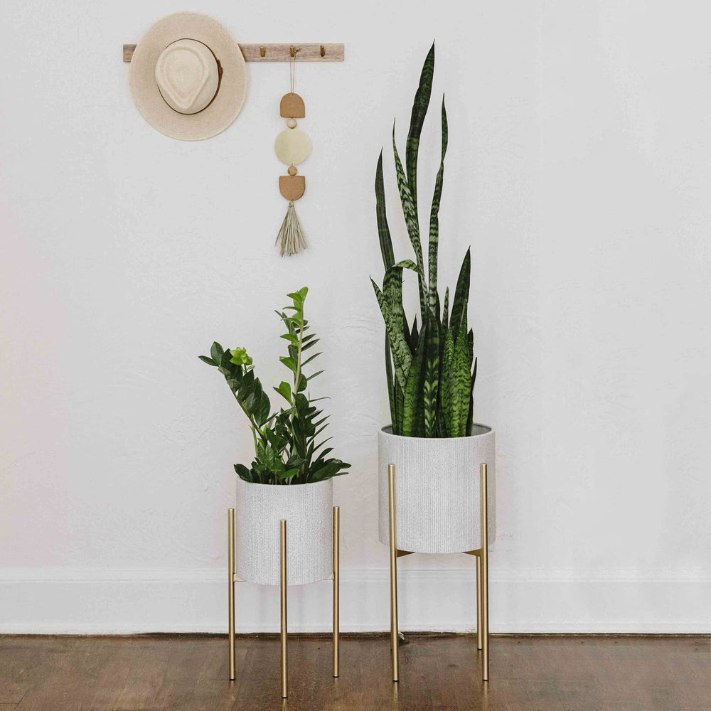Main + Mesa side profile showing planter on minimalist stand for elevated display