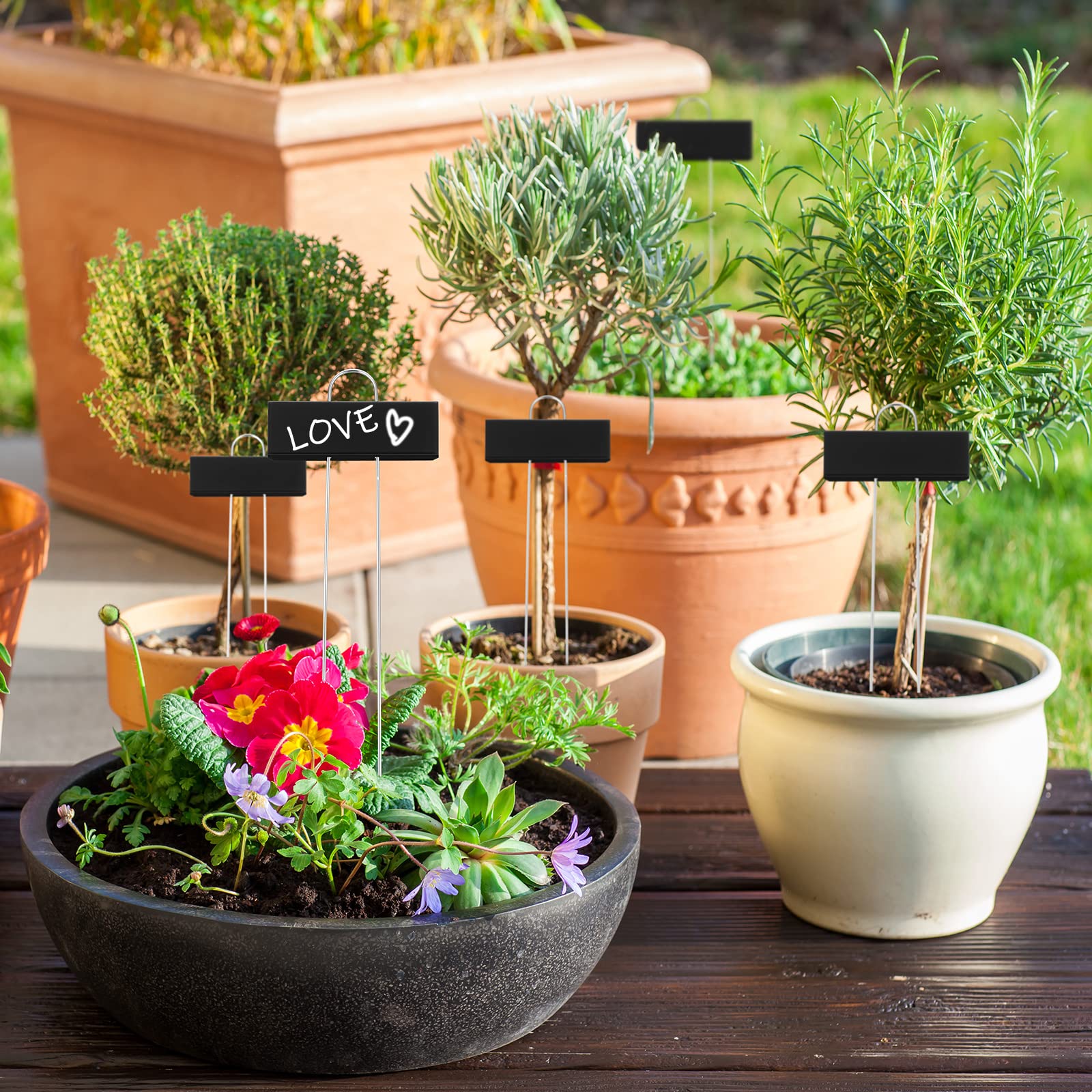 Maitys garden scene with labeled herb pots for quick plant identification