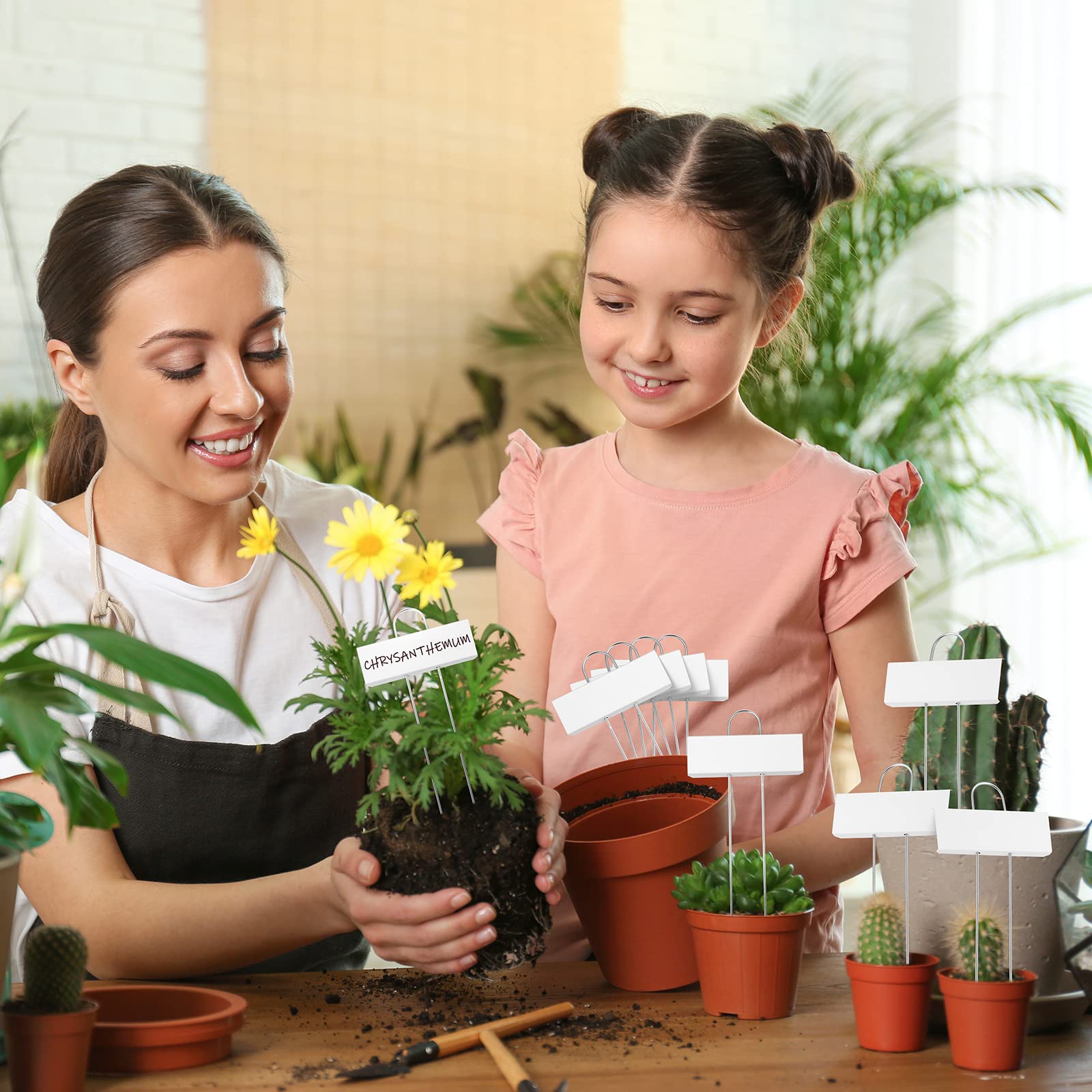 Maitys labeled seedling row outdoors improving garden organization