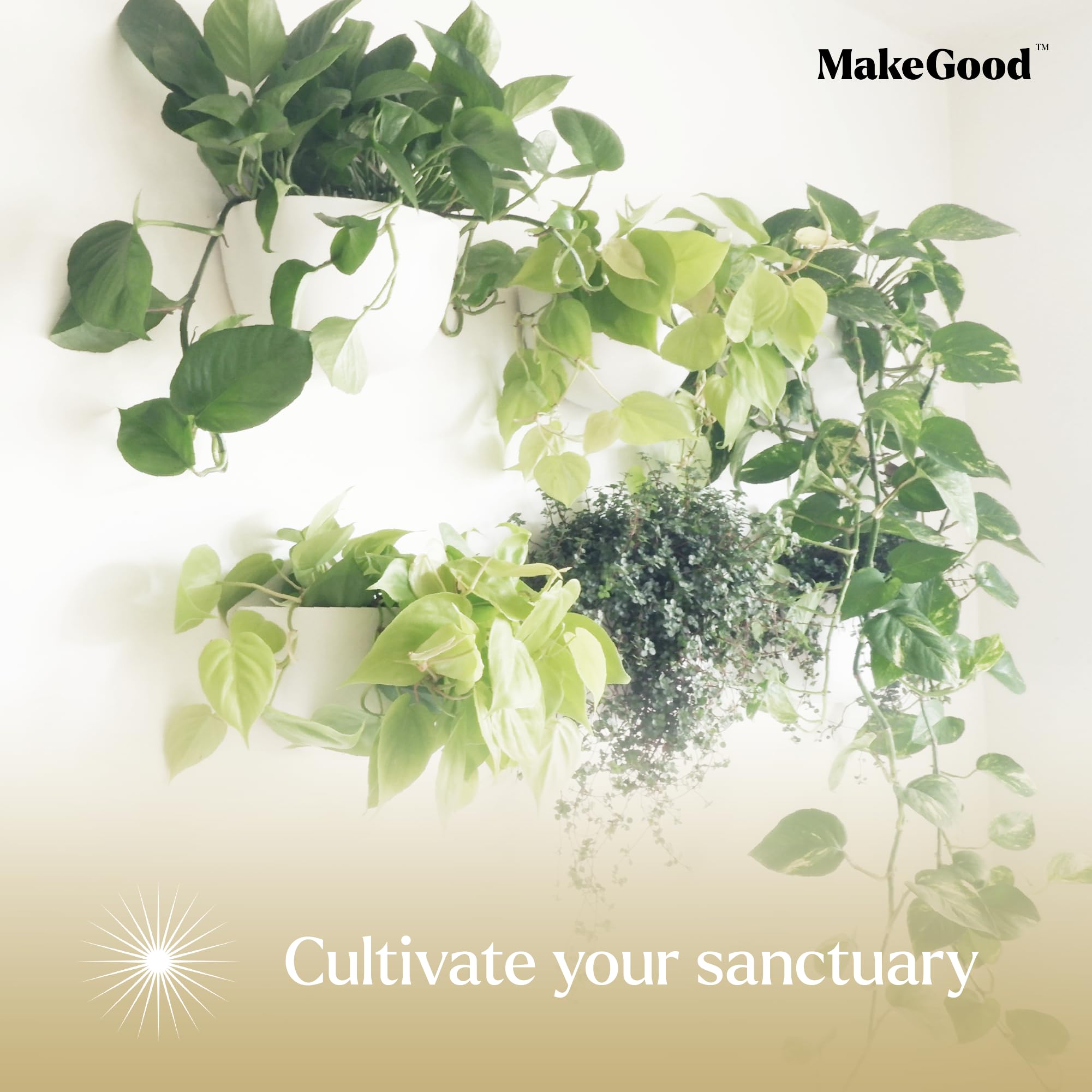 Make Good Virgo styled in kitchen with herbs highlighting aesthetic and functional benefit
