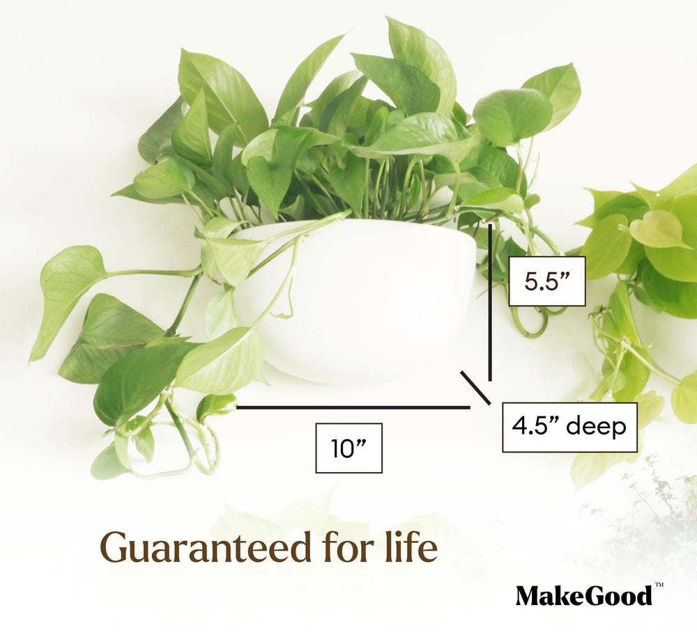 Make Good Virgo next to a ruler showing scale for correct plant selection benefit