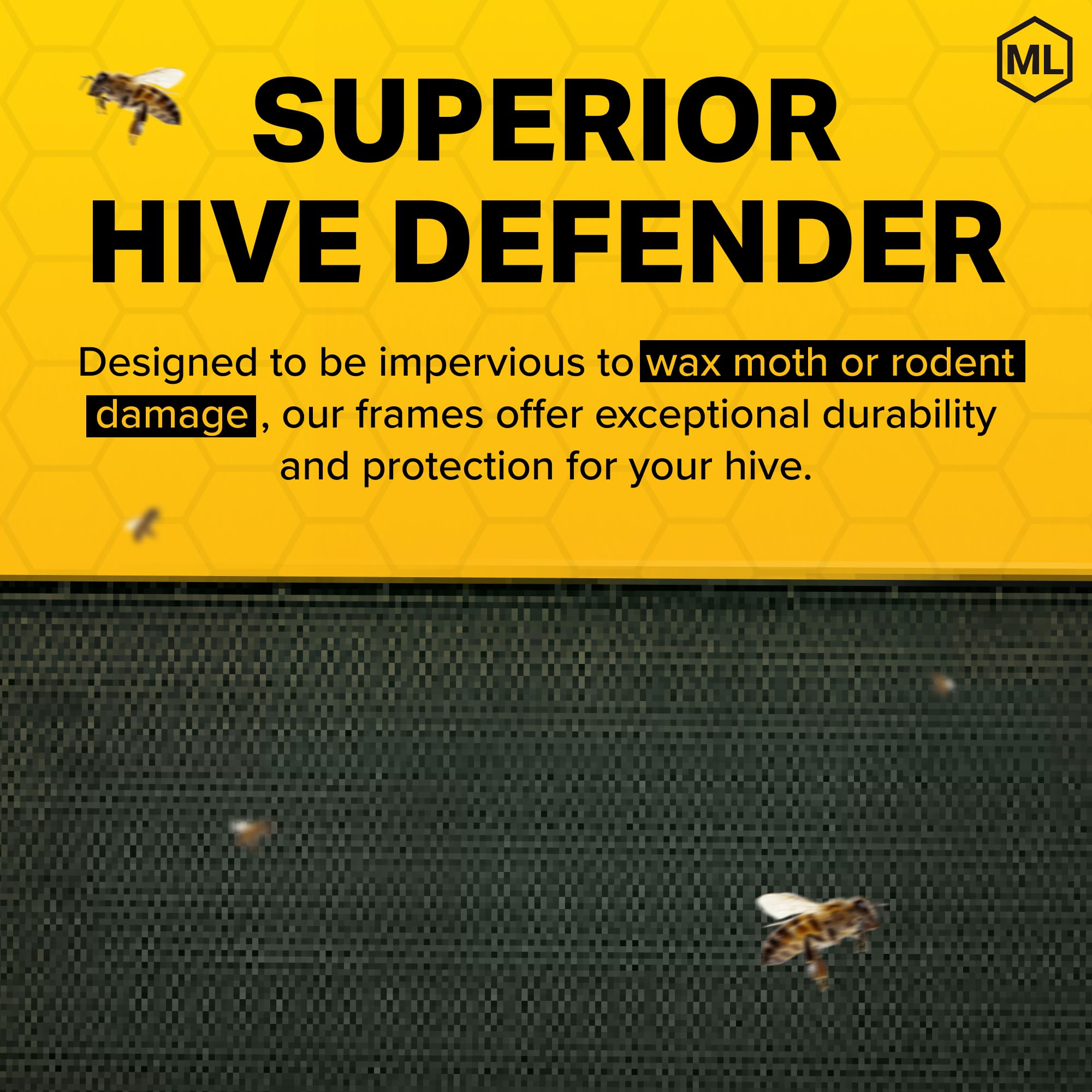 Mann Lake frame installed in hive illustrating easy drop-in compatibility benefit
