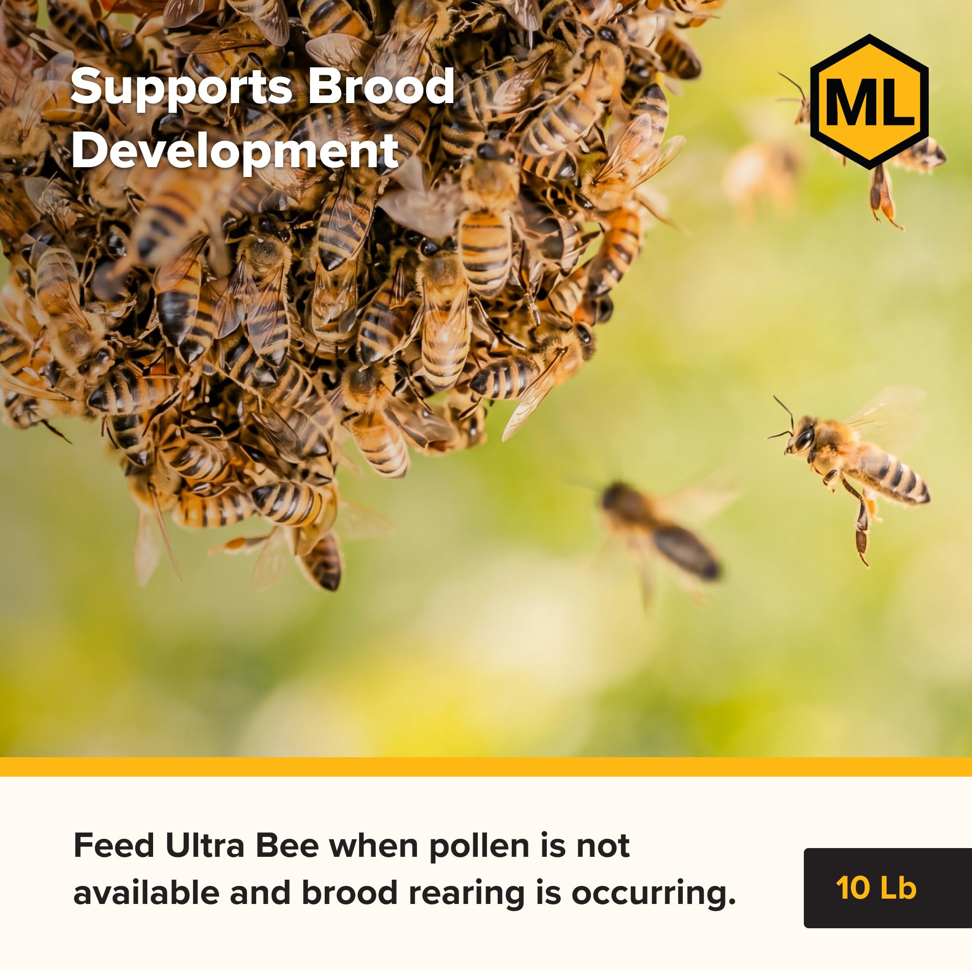 Mann Lake patty placed inside a hive near brood nest showing convenient in-hive feeding