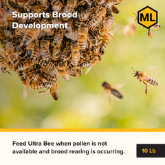 Mann Lake patty placed inside a hive near brood nest showing convenient in-hive feeding
