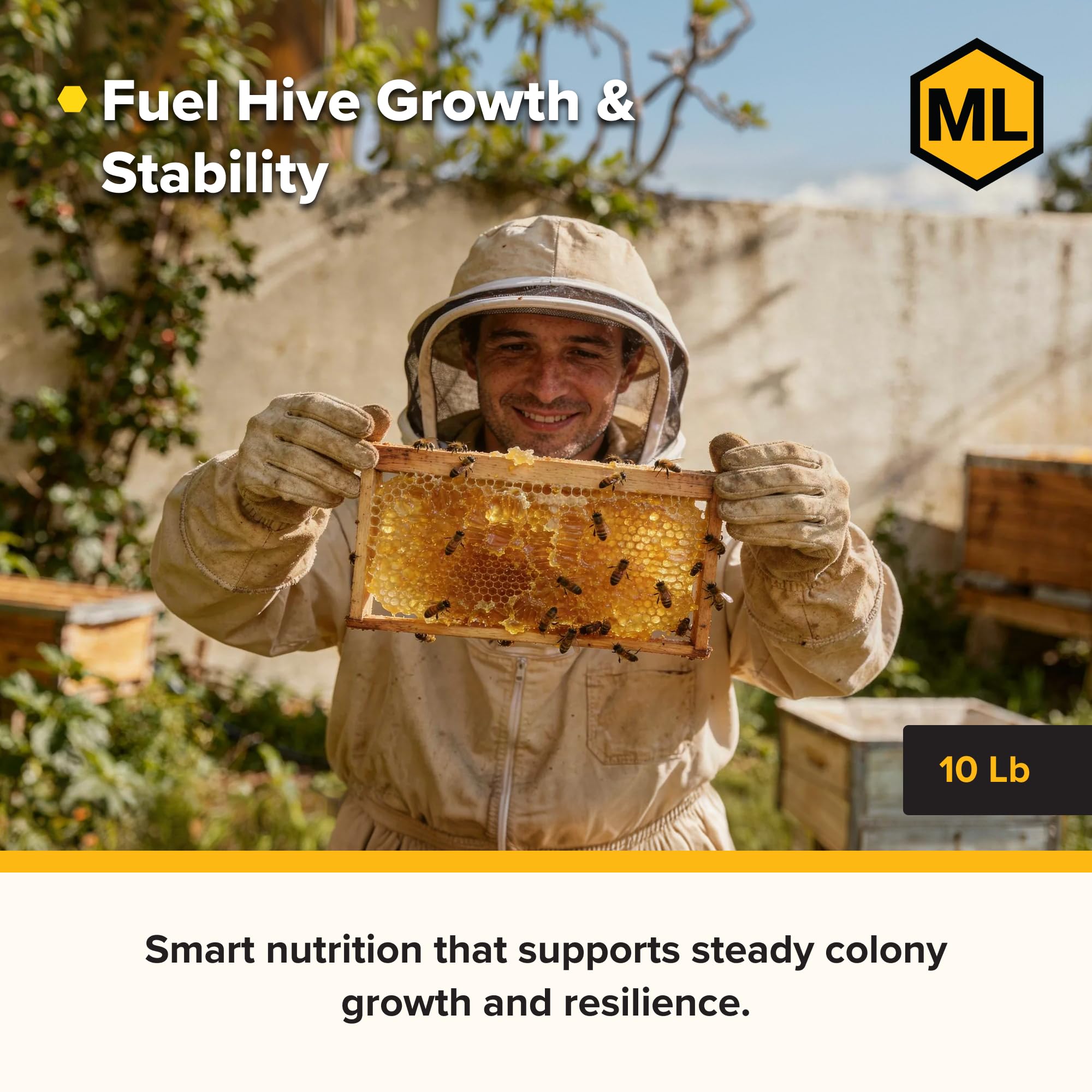 Mann Lake patties in an apiary setting demonstrating practical use during colony management