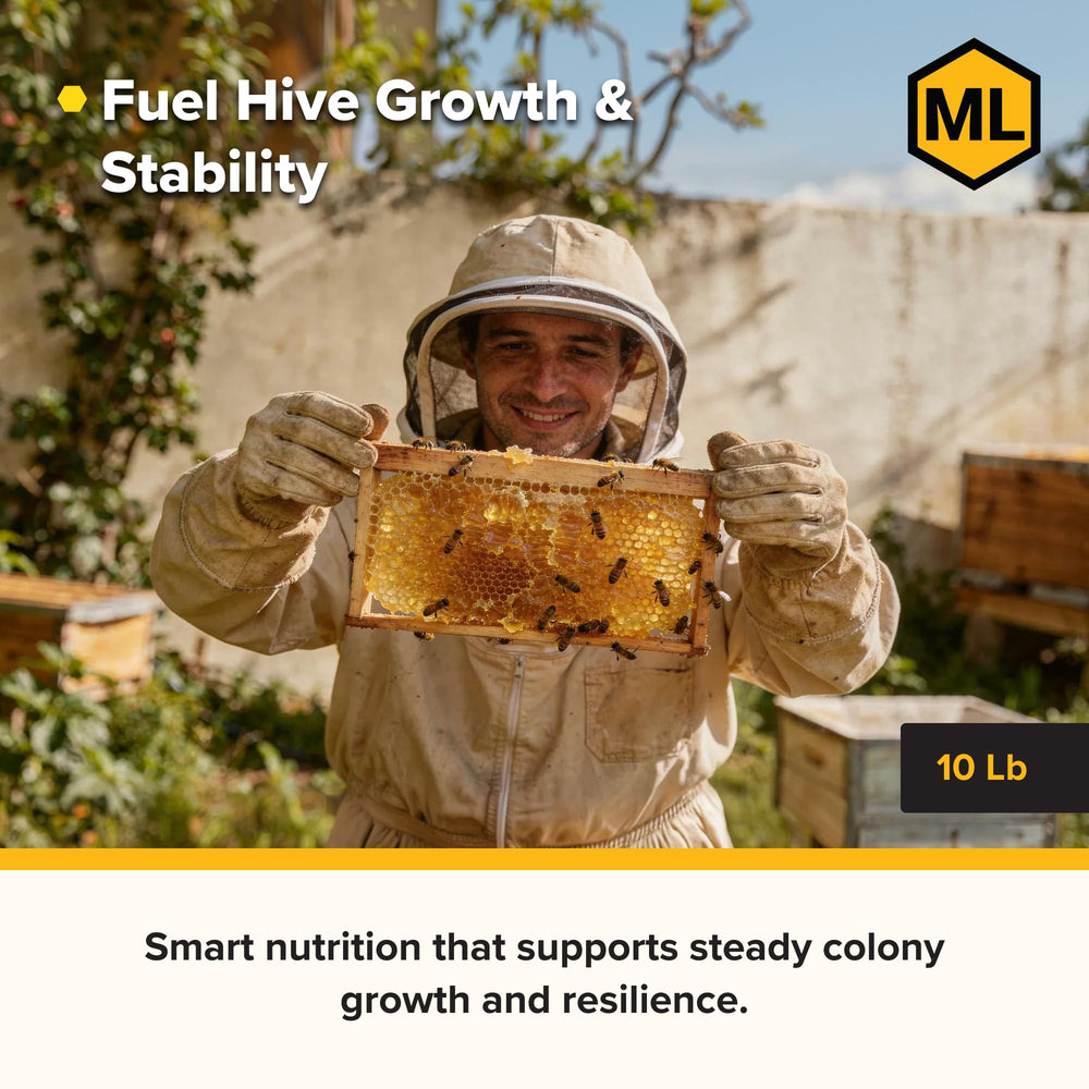 Mann Lake patties in an apiary setting demonstrating practical use during colony management