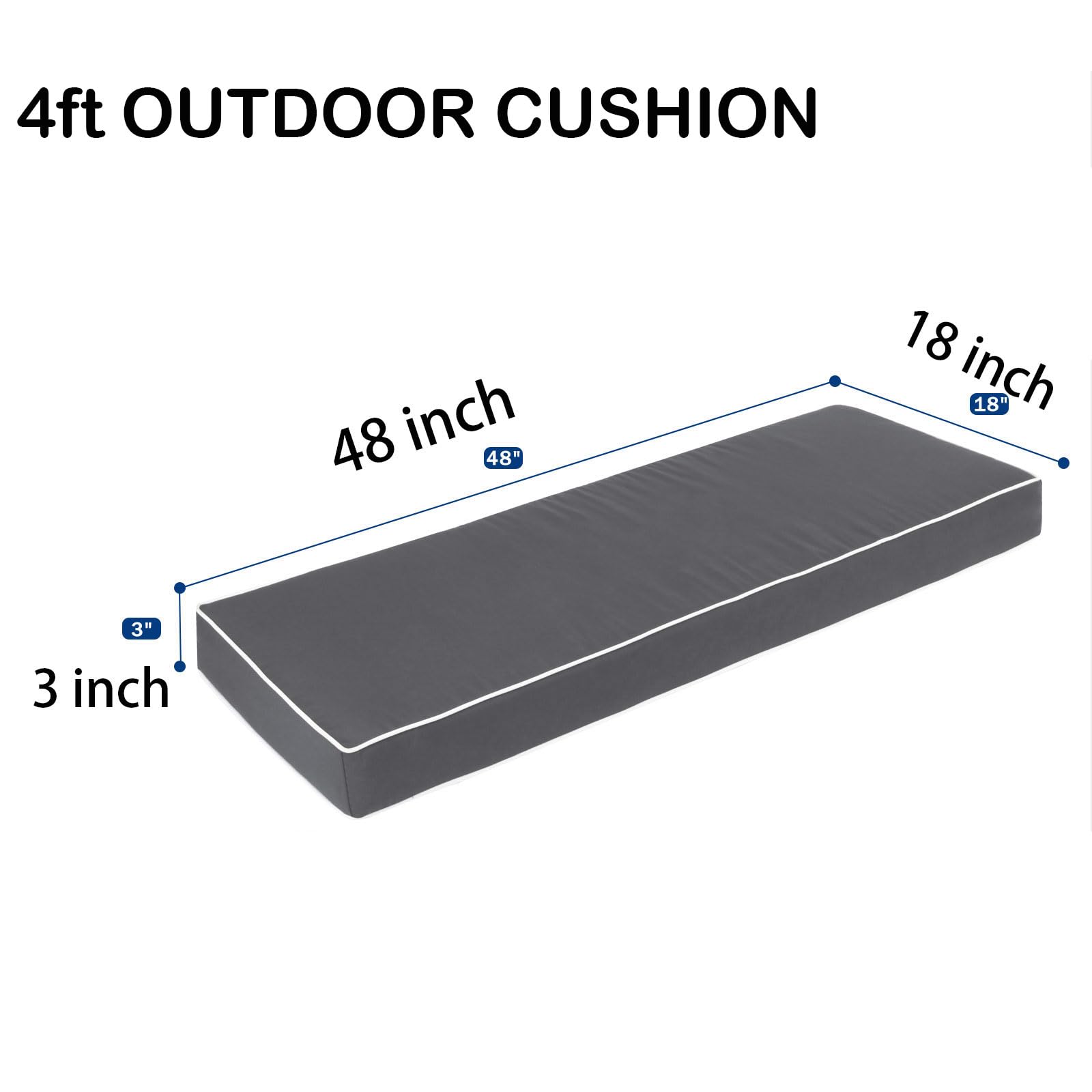 Maphissus scale comparison with ruler confirms accurate 48x19x3 size