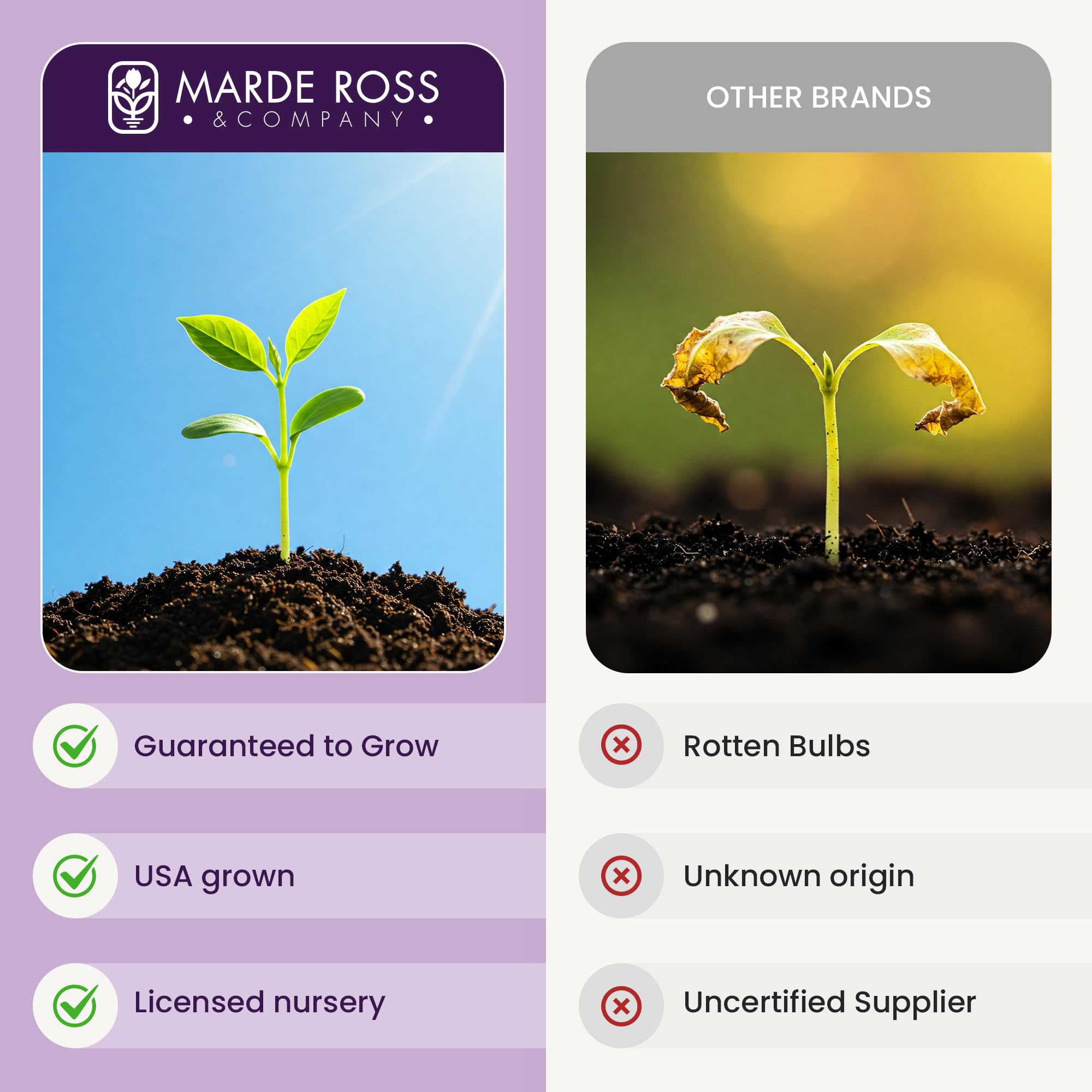 Marde Ross & Company garden scale comparison showing height and spacing benefit