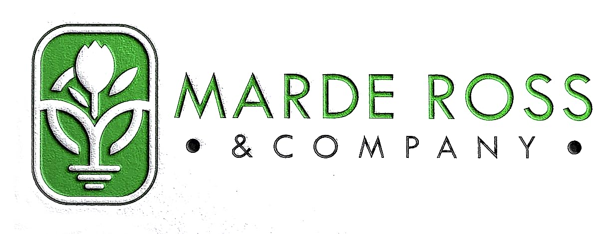 Marde Ross & Company planted Lily of the Valley in shaded garden showing early foliage and aroma