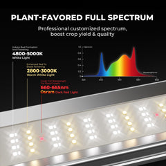 MARS HYDRO detailed LED array with Bridgelux and OSRAM diodes for efficient bloom output