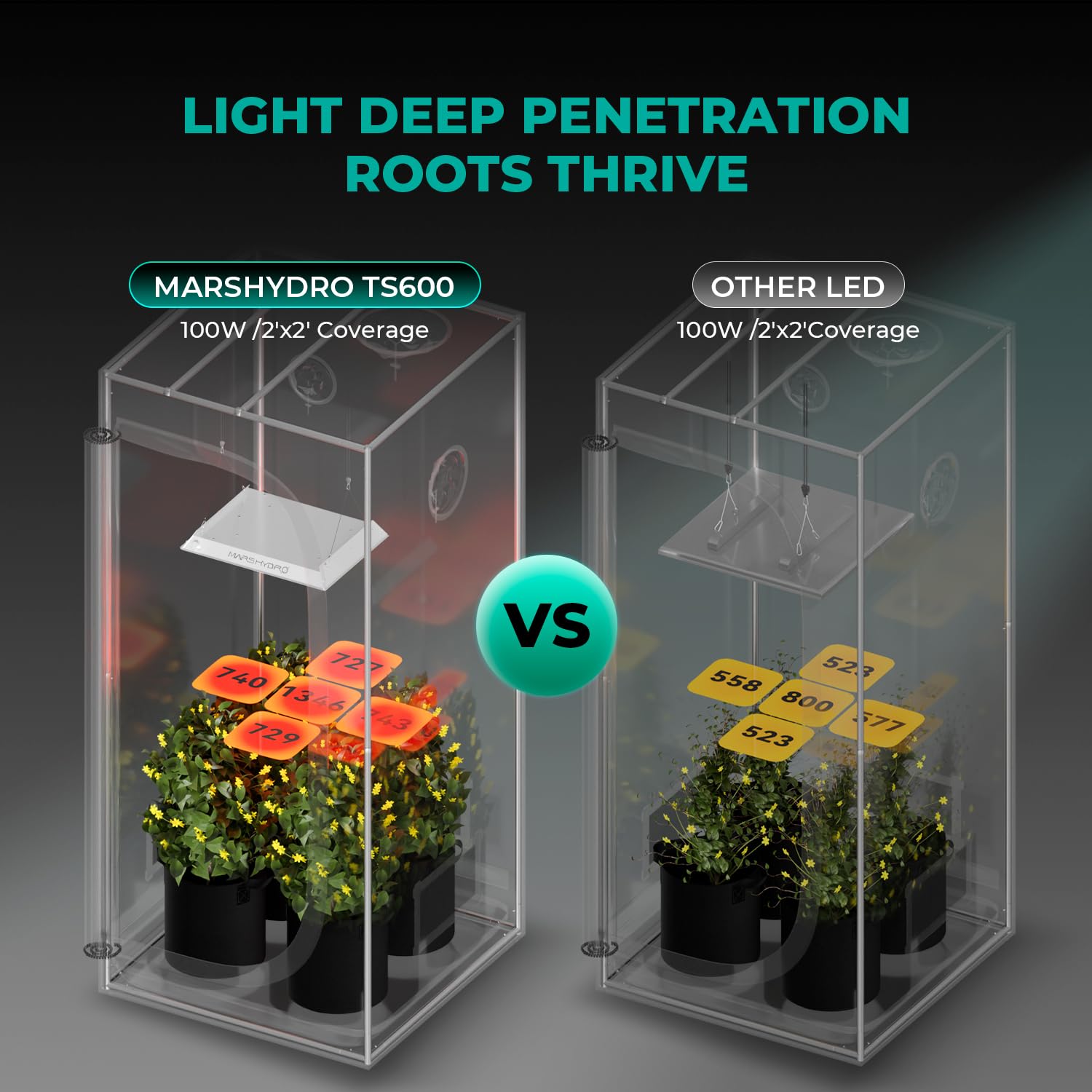 MARS HYDRO diode close-up revealing dense LEDs for even light