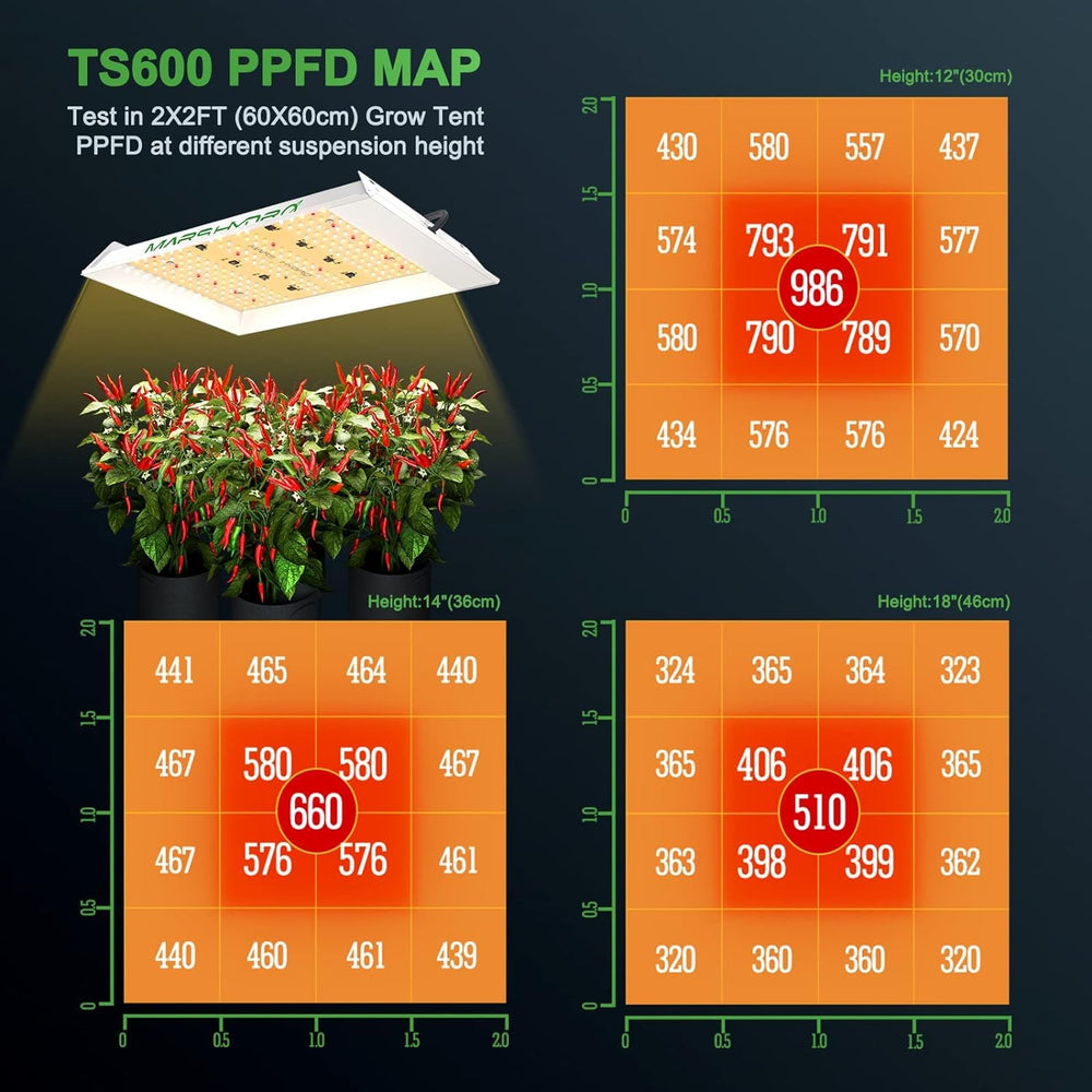 MARS HYDRO compact grow setup in a small room demonstrating discreet operation