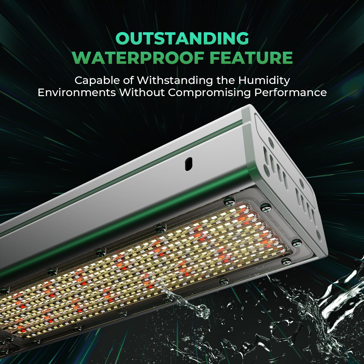 MARS HYDRO SP3000 lighting a greenhouse bench showing consistent crop illumination