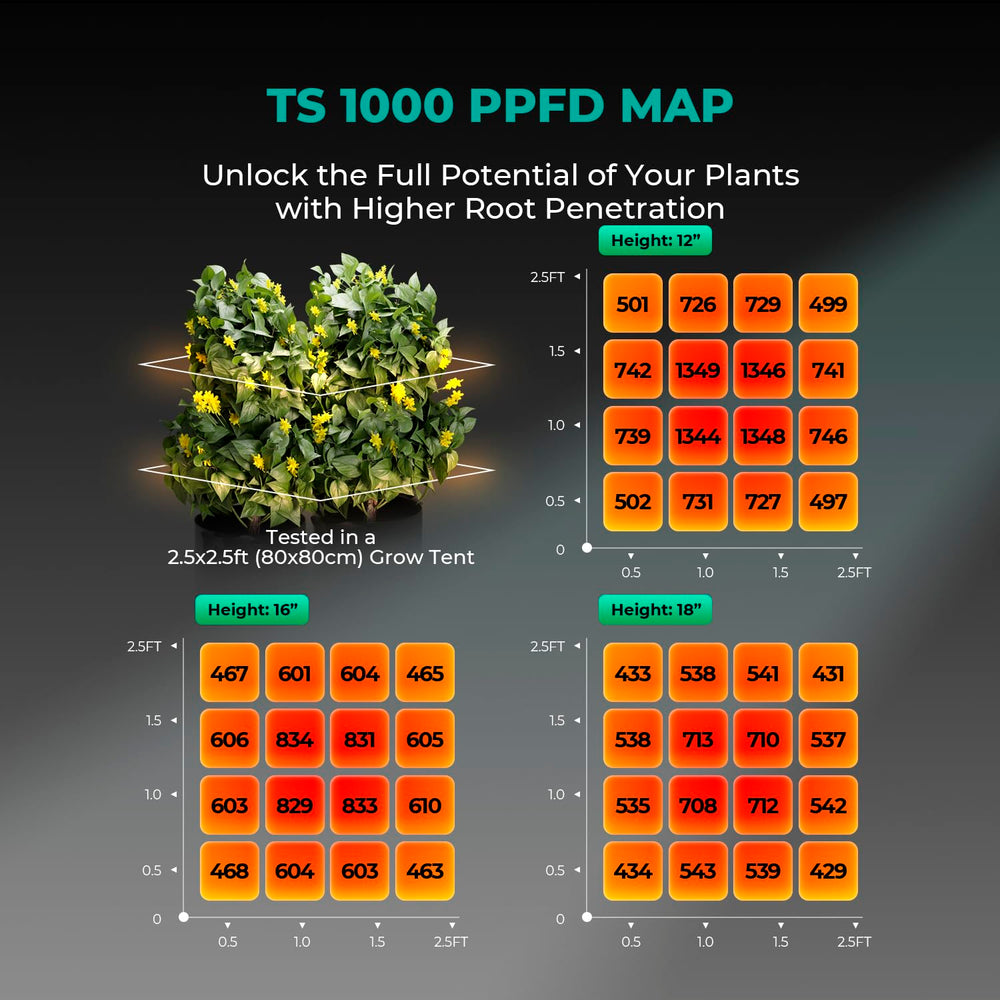 MARS HYDRO TS1000 mounted in a grow tent providing bright, even lighting for plants